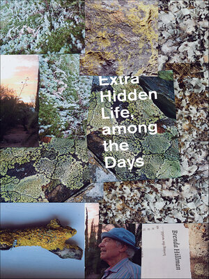 Extra Hidden Life, among the Days - ebook